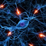 Picture of neurons