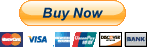 Paypal button
