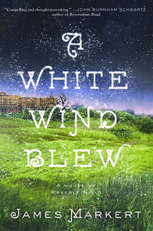 Post image for Book Review: A White Wind Blew